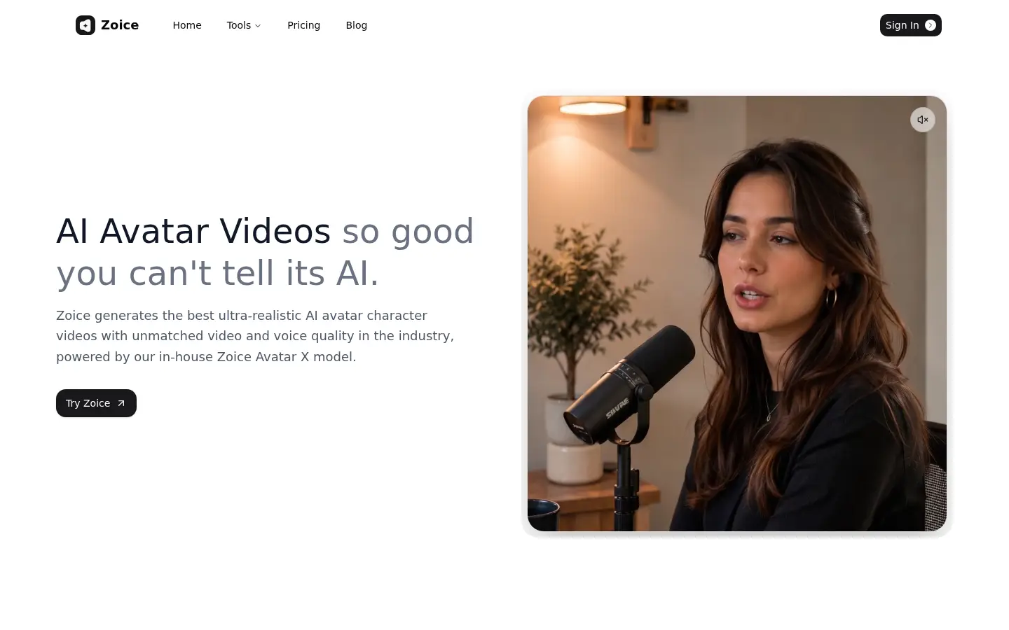 Zoice website